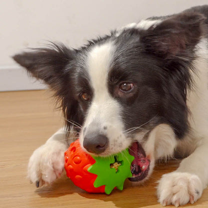 Pelota de juguete resistente a las mordeduras para la limpieza dental de perros. Artículos para mascotas.